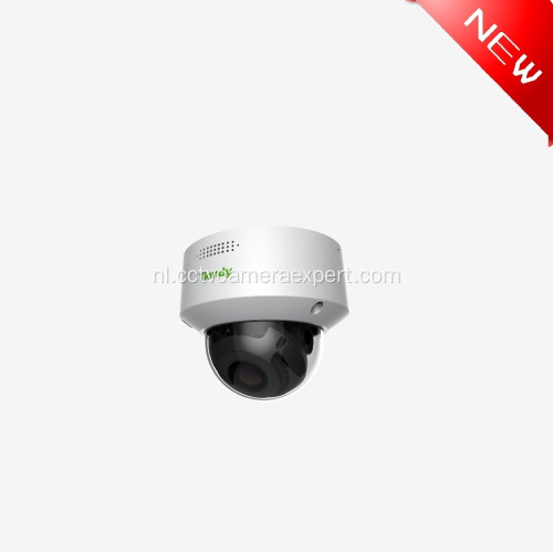 Tiandy Dome Hikvision 2Mp Ip-camera met audio